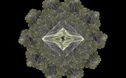 Apo7x-140320-9 xq-black.jpg